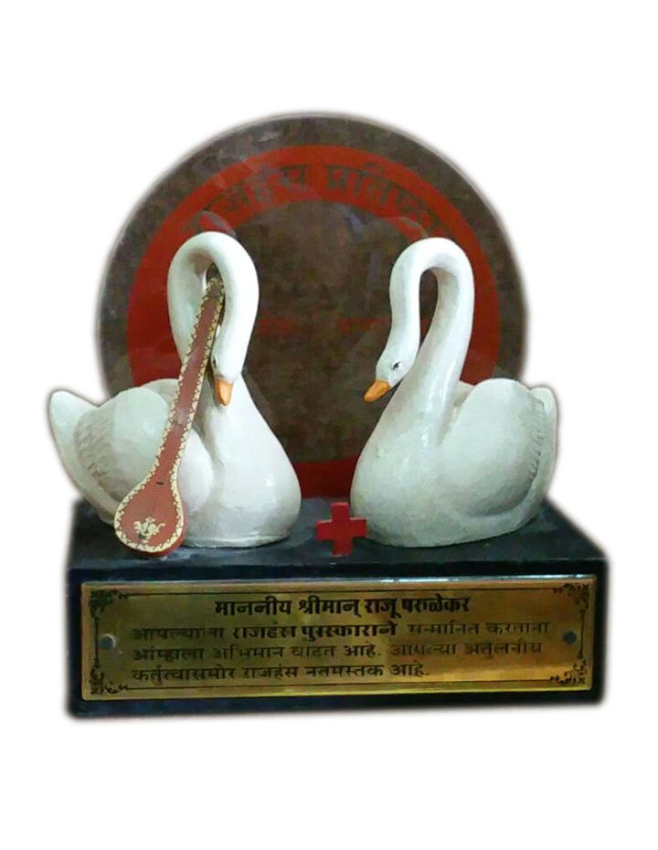 Raju Parulekar's Awards